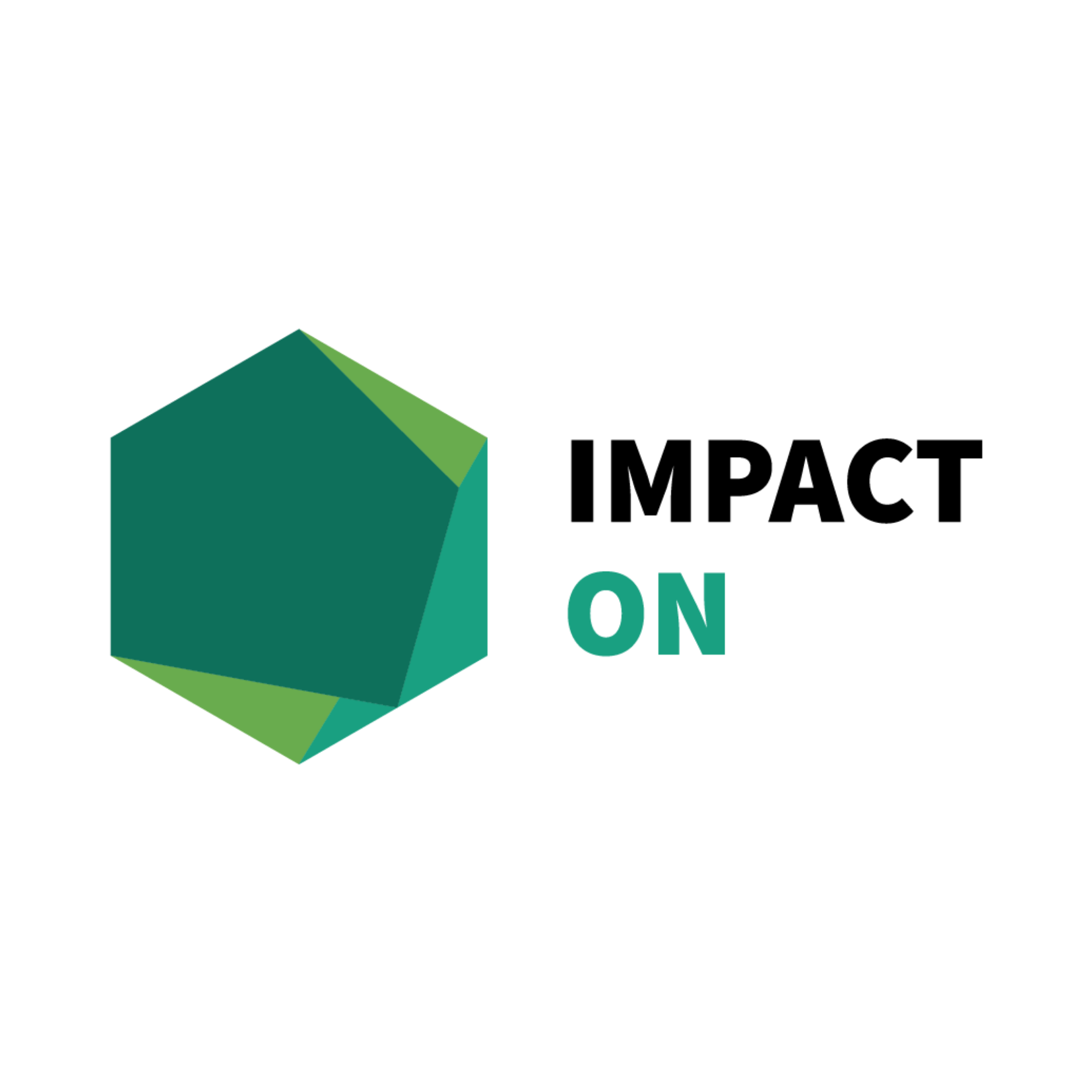 Logo Impact ON