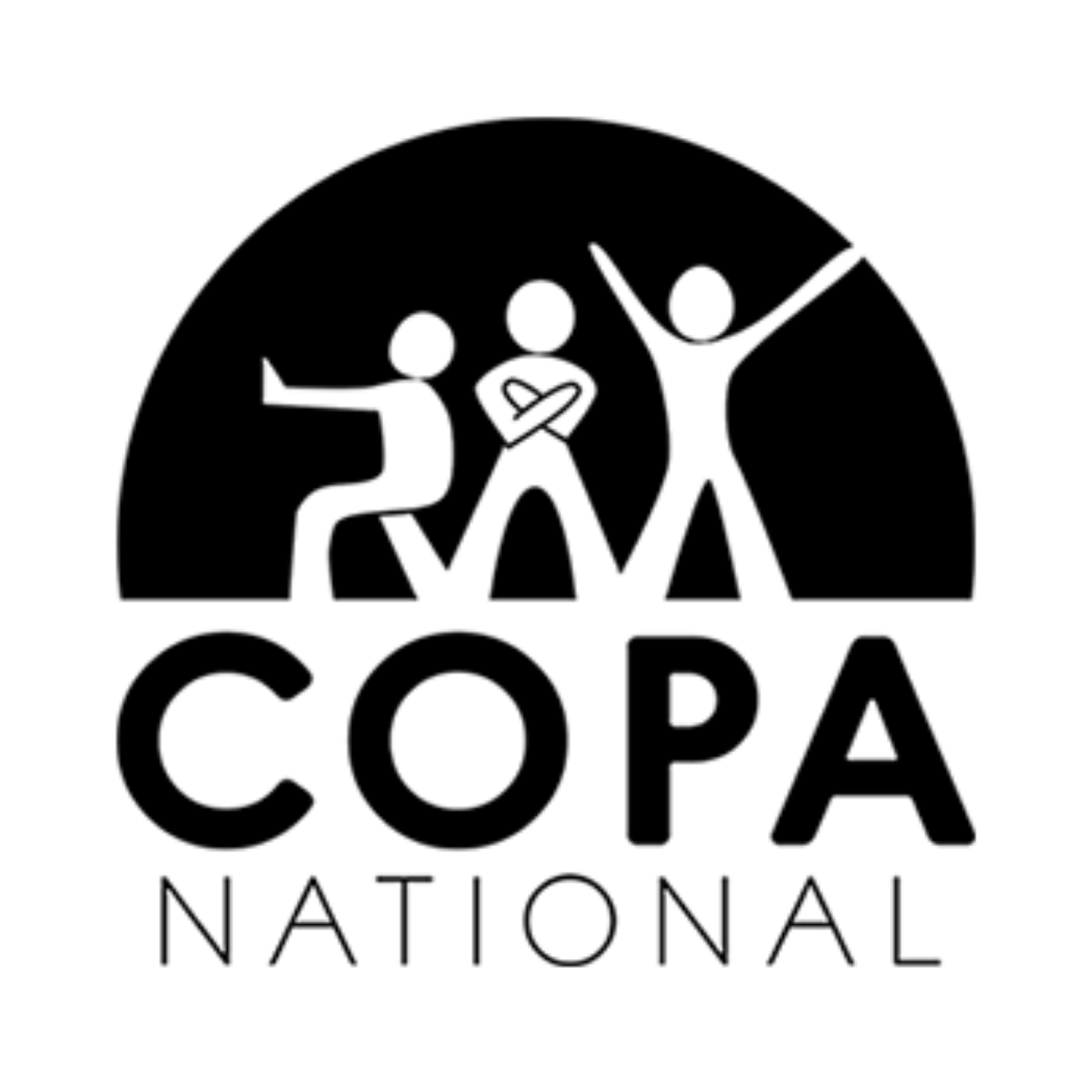 Logo Copa National